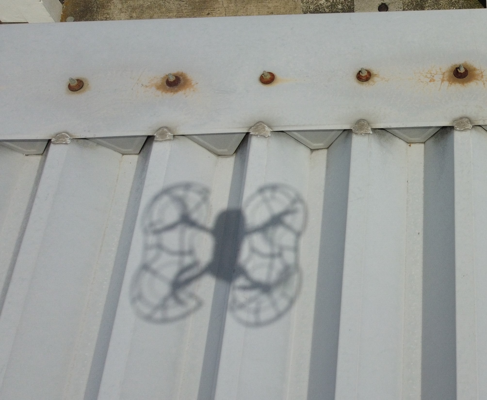 久留米市　小郡市　外壁塗装　屋根塗装　現地調査
