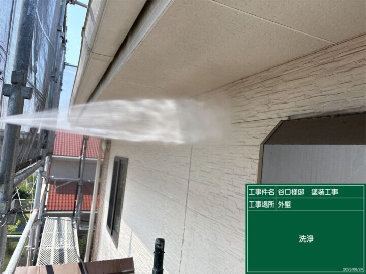 洗浄